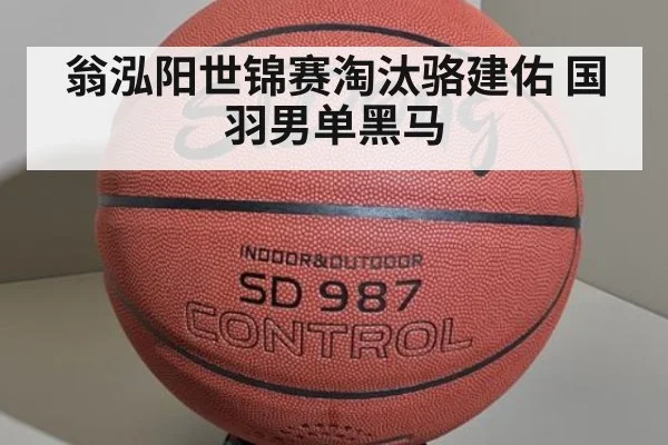 翁泓阳世锦赛淘汰骆建佑 国羽男单黑马